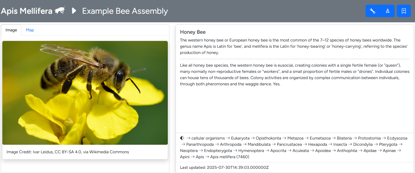 Assembly Head