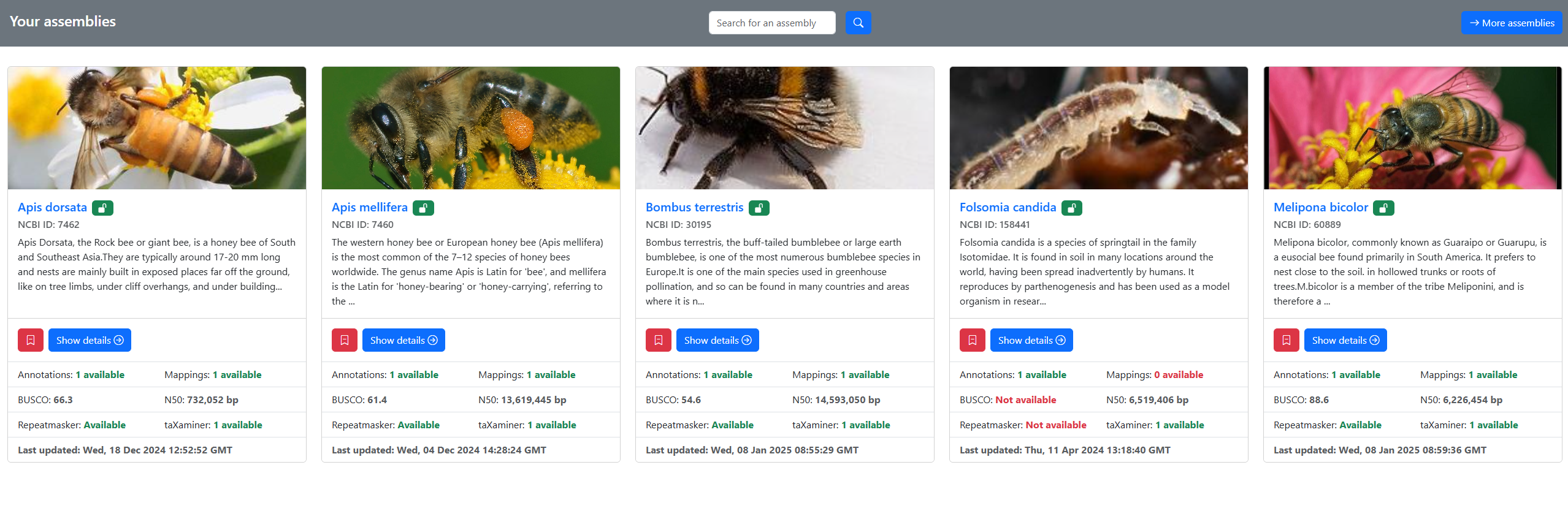 Import first section