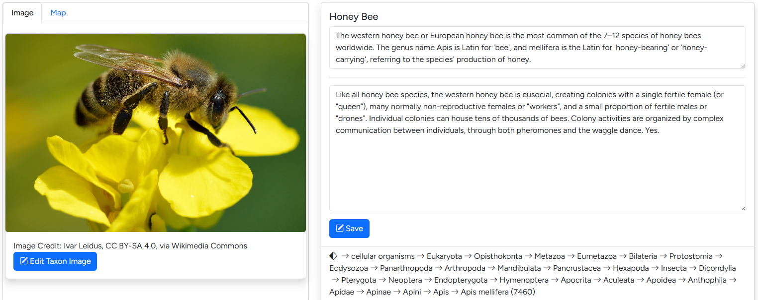 Taxon Editor overview